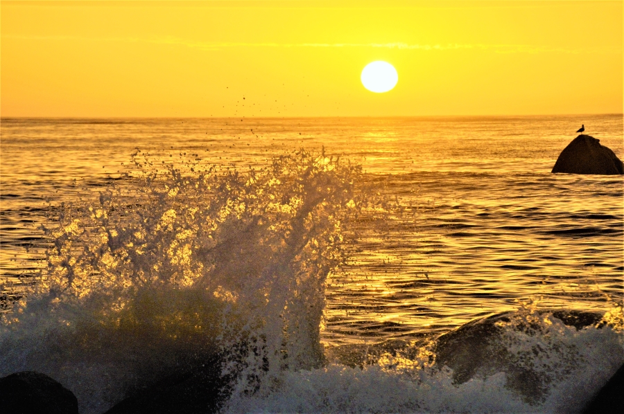 3 Bedroom Property for Sale in Steenbergs Cove Western Cape